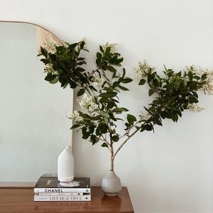 White vitruvi duffuser